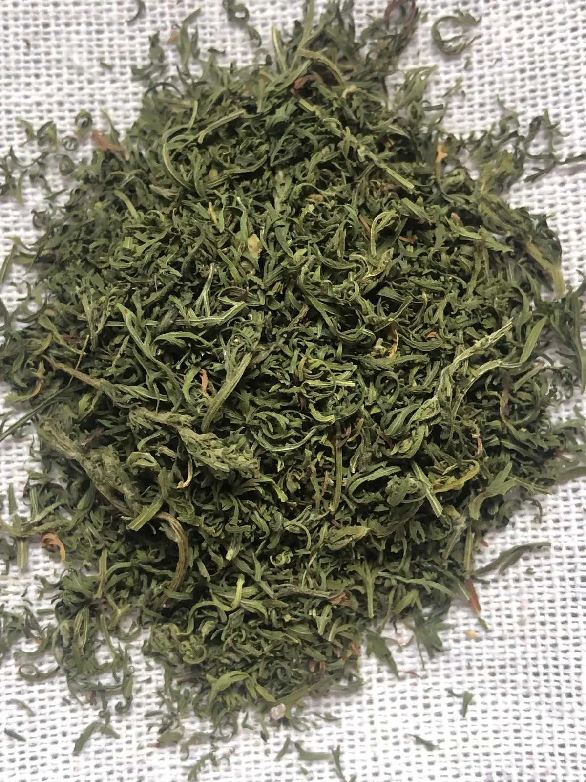 Artemisia Annua Tea