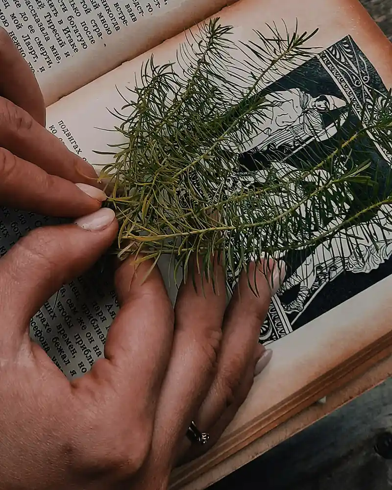 12 Common Protection Ritual Mistakes: Folk Magic Warnings