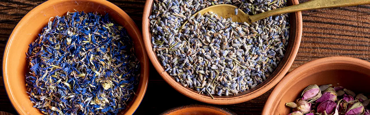 lavender and other herbs in wooden bowls