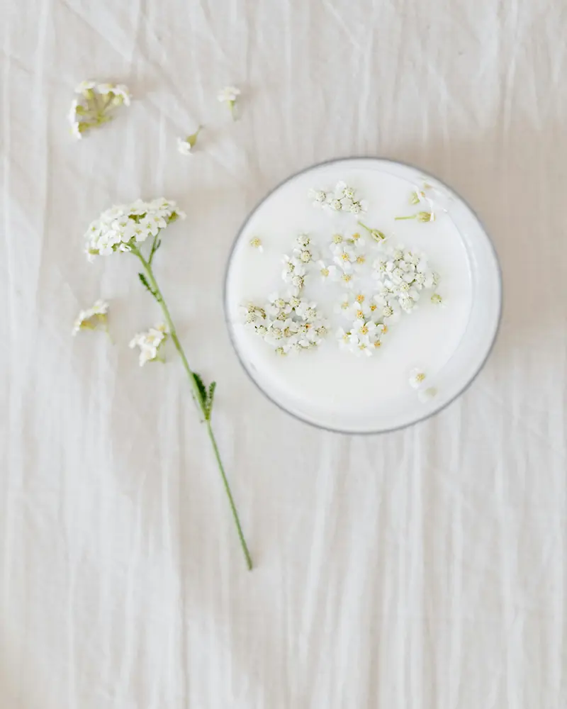 Milk Magic in Folklore: Protection, Fertility, Spirits & the Sacred White Offering