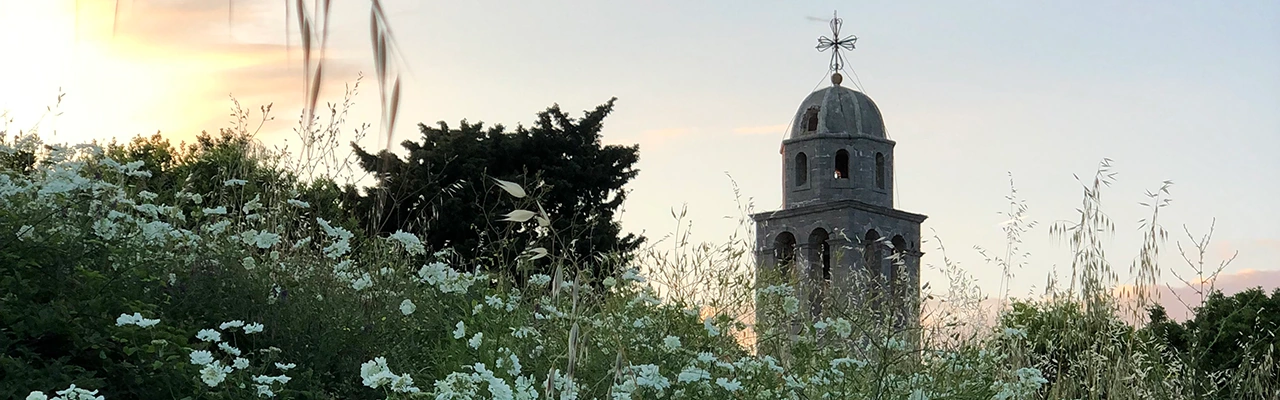 field flowers with a church in the background