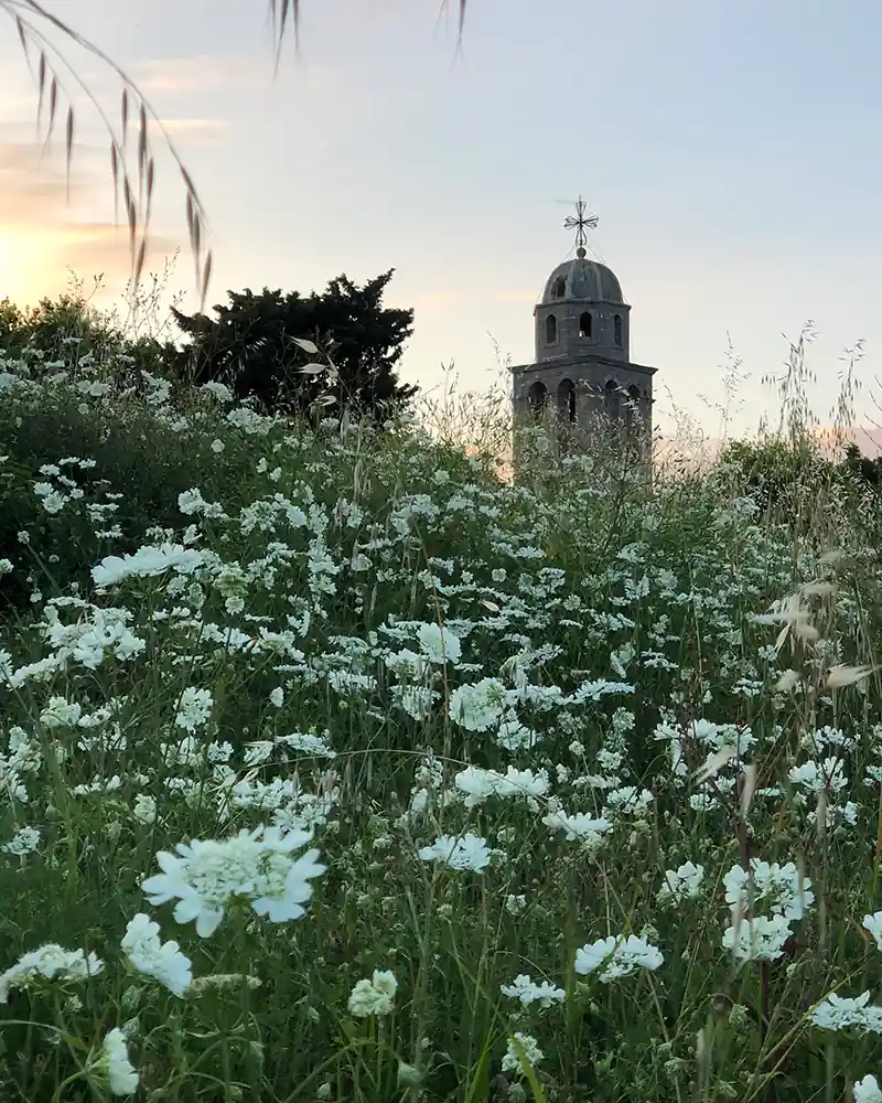 Before the Cross: The Old Magic of Pre-Christian Europe