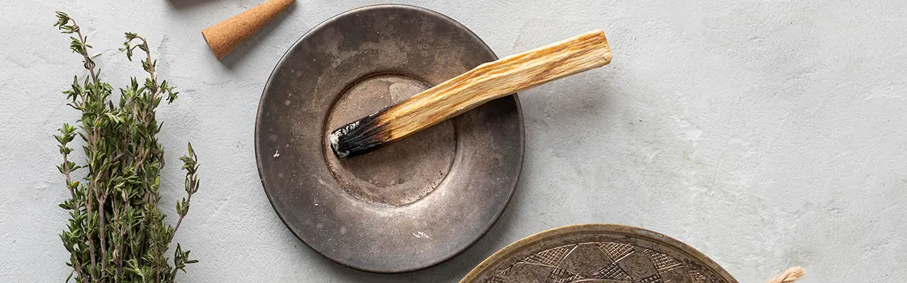 ritual sticks and herbs for burning on plates