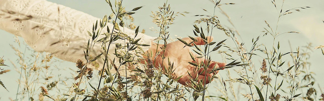 female hand stroking grass in the field