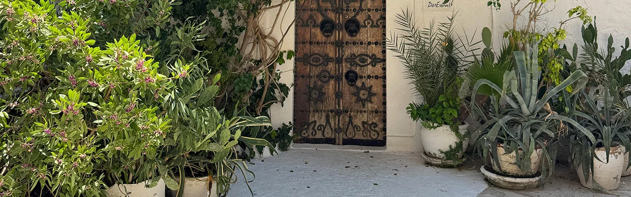 a blue door with potted plants on both sides