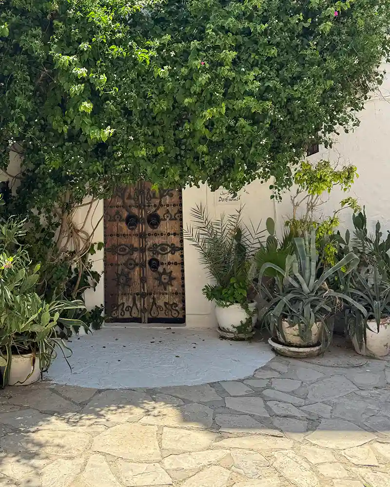 Witchy Plants for the Front Door