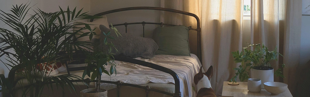 bed in a bedroom with plants