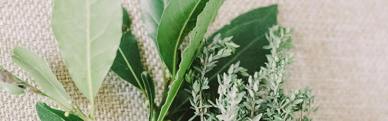 sage and thyme herbs