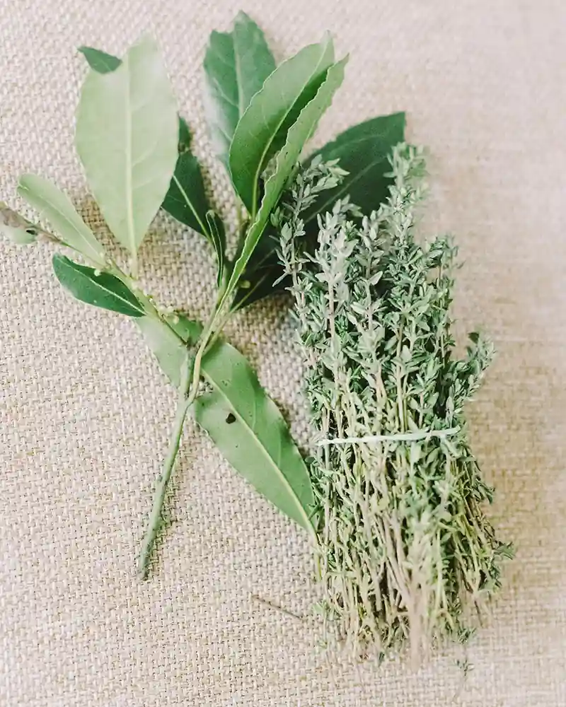 Ancient Shields: Witchy Protection Herbs