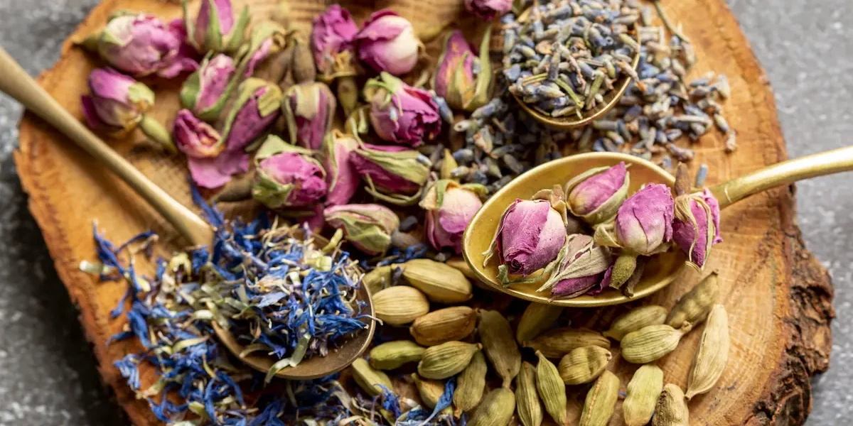 Witchy Herbs for Healing: Ancient Plant Magic for Body and Spirit