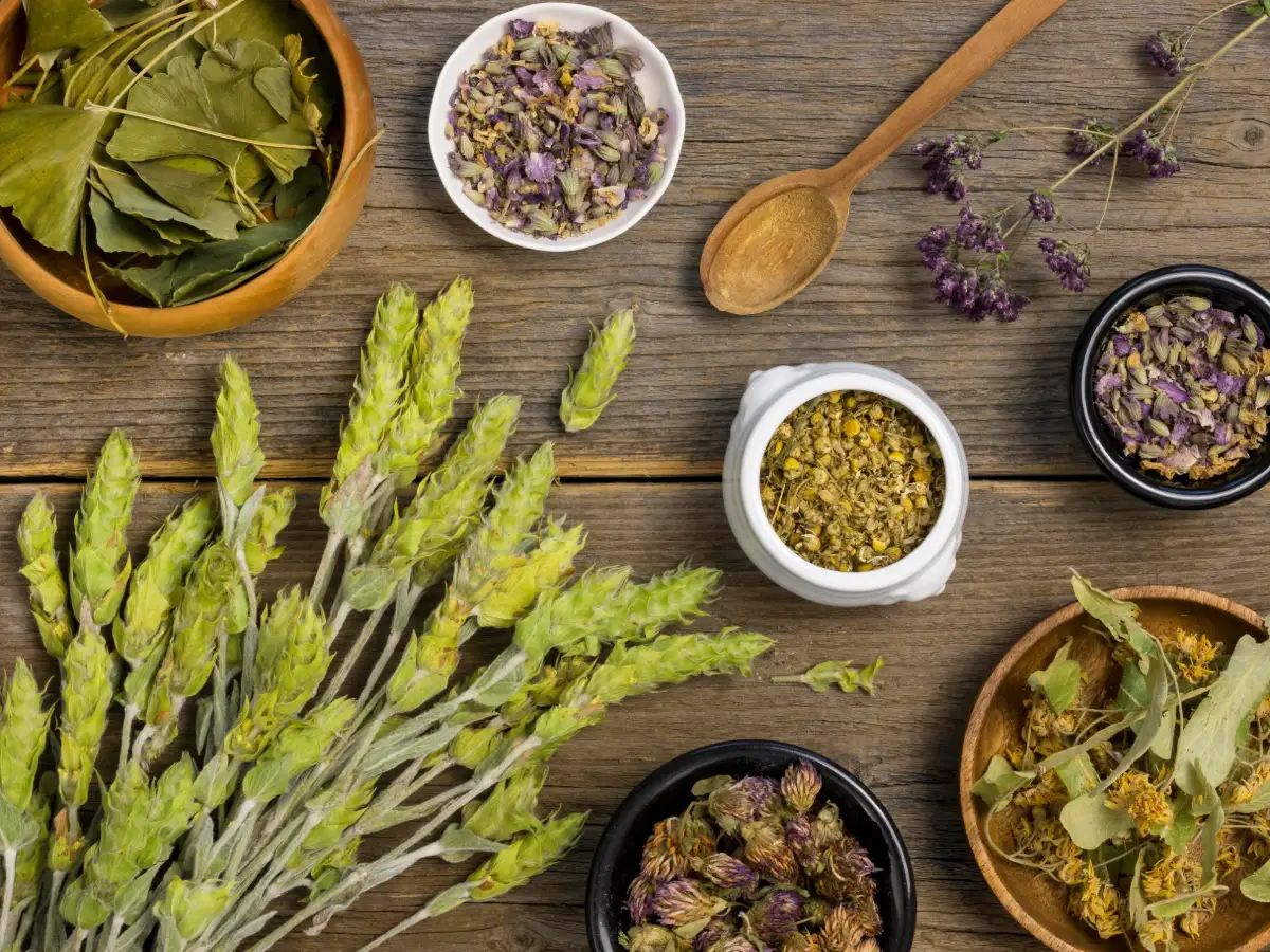 Top 11 Protective Herbs in Witchcraft